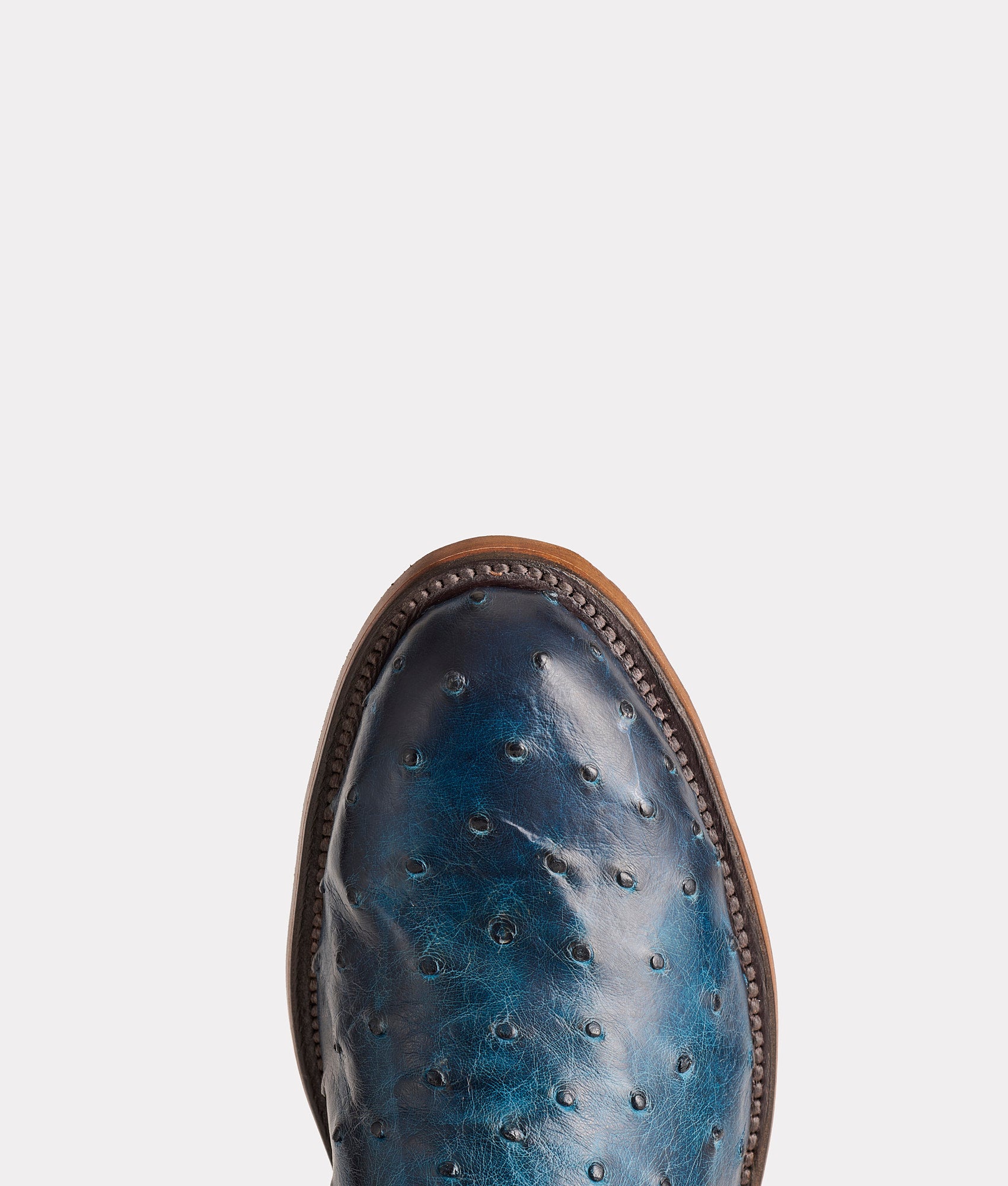 Hudson :: Navy + Chocolate - Image 6