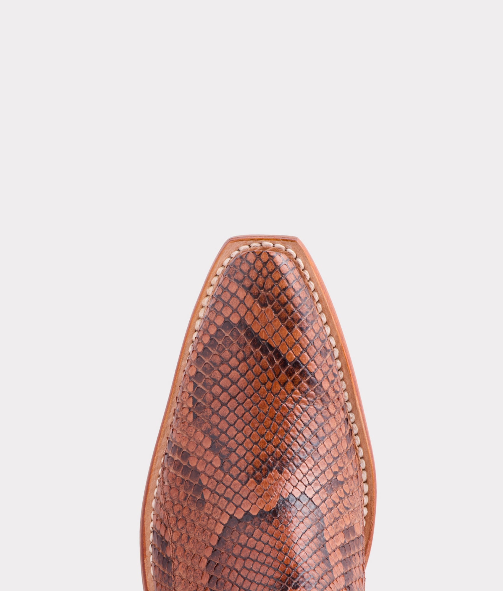 Dale Exotic :: Amber - Image 8