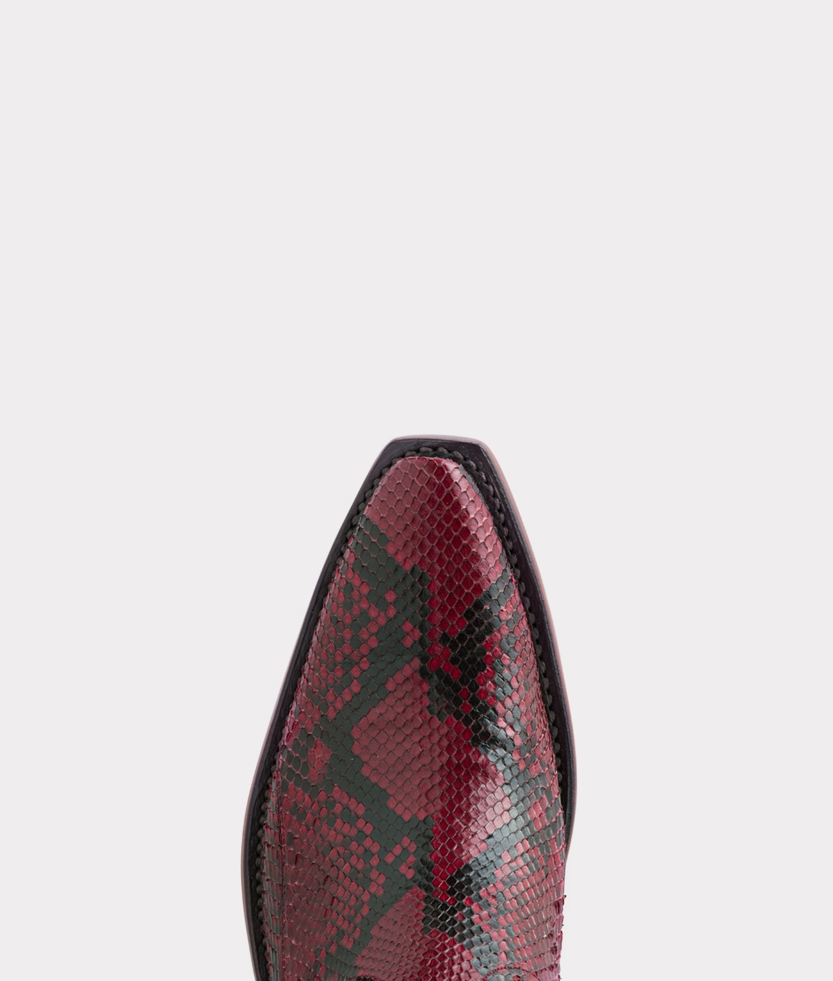 Dale Exotic :: Garnet - Image 8