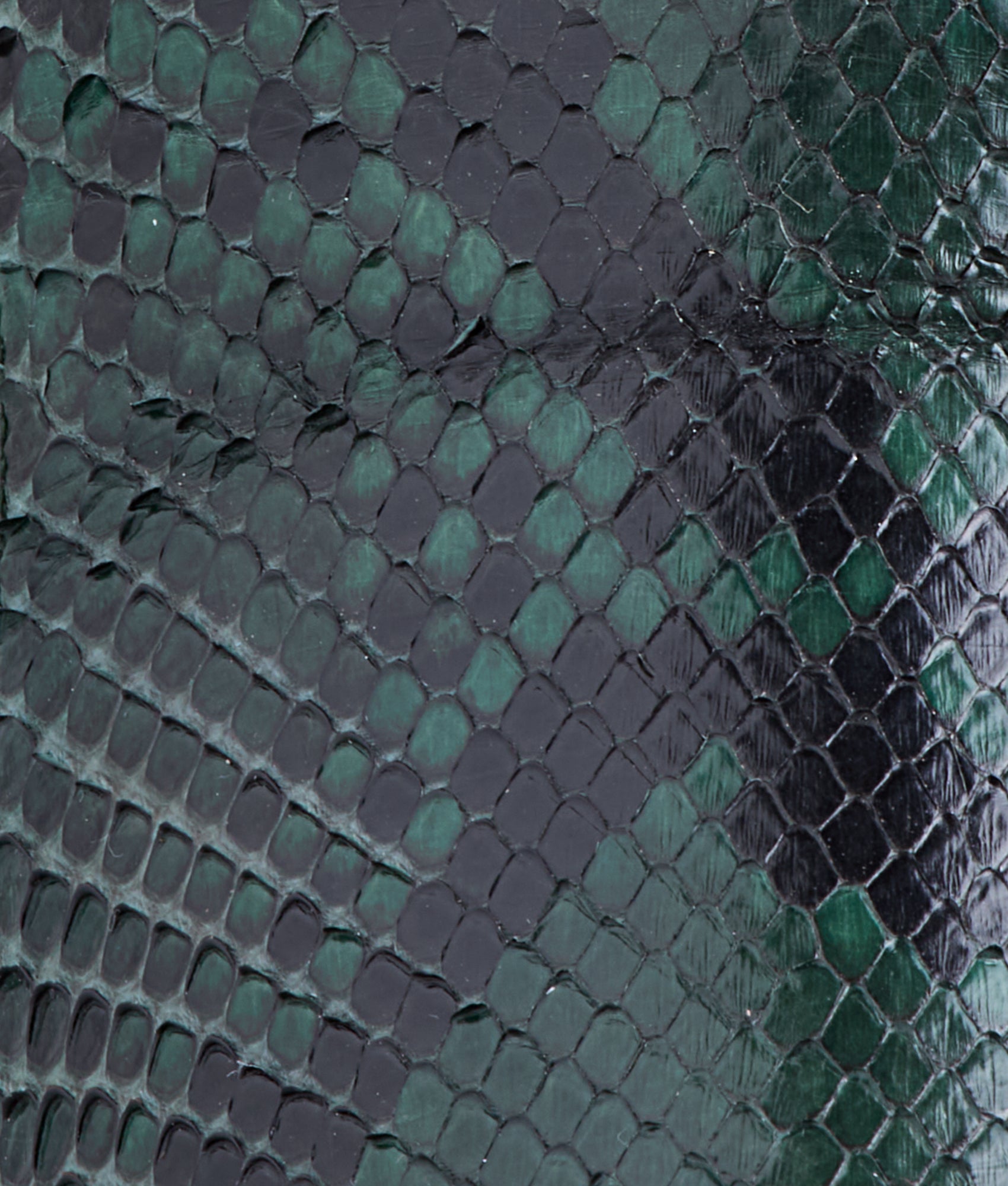 Dale Exotic :: Emerald - Image 10