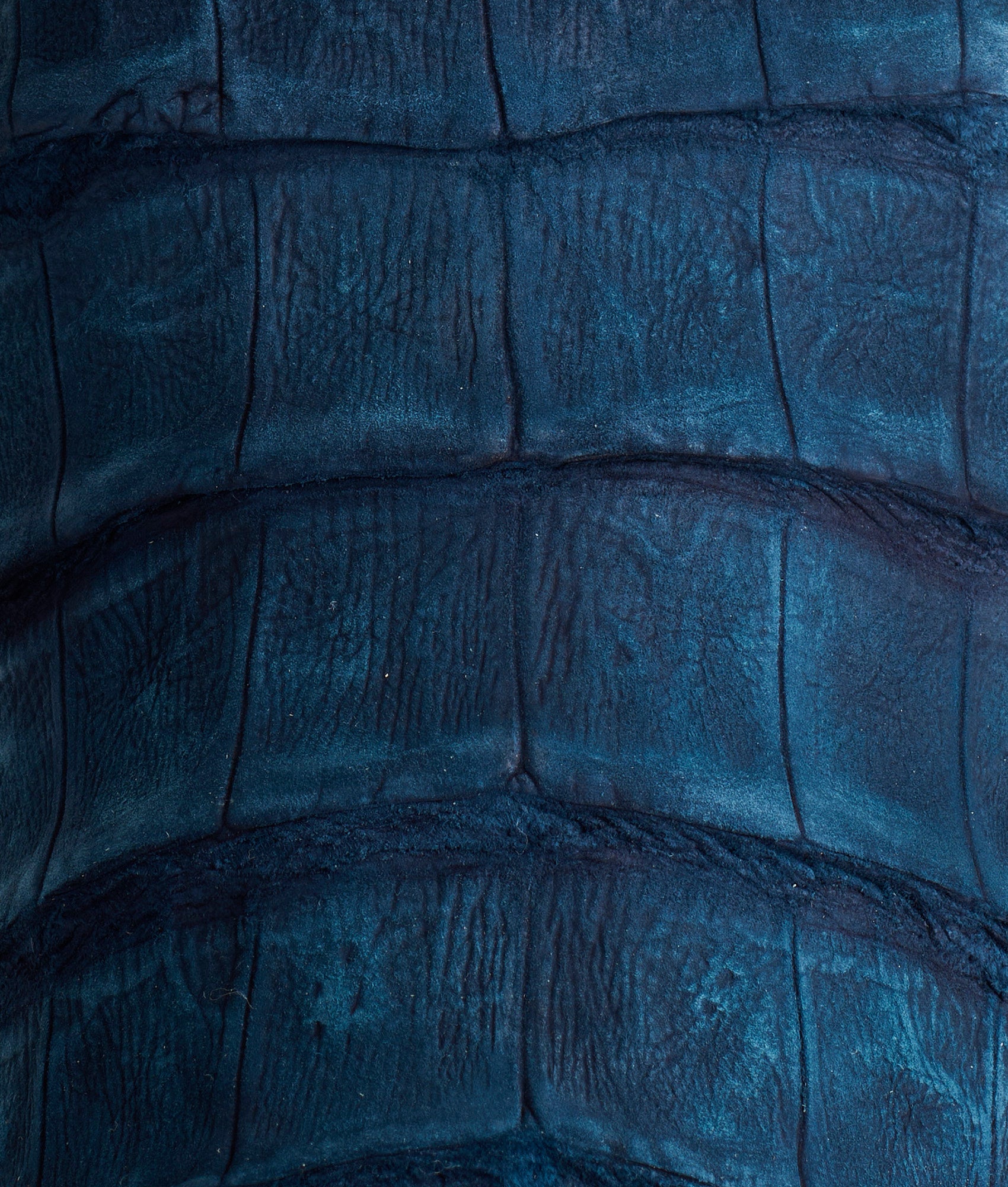 Dale Exotic :: Navy - Image 10