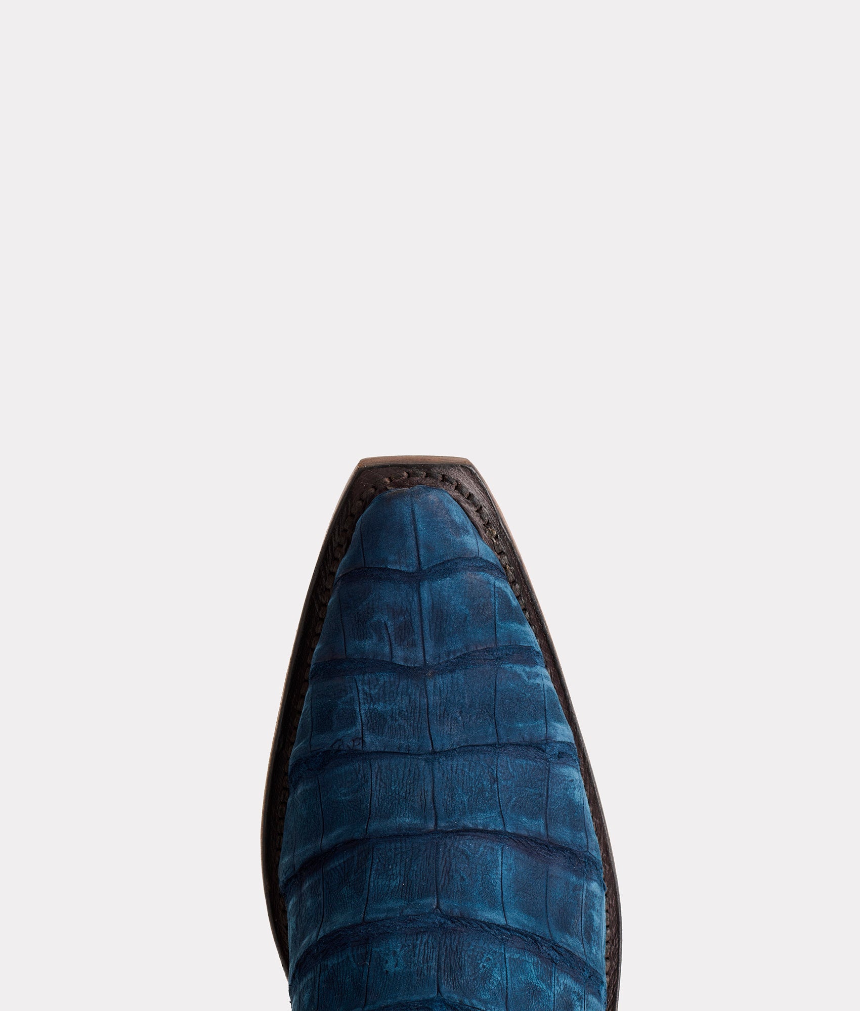 Dale Exotic :: Navy - Image 8