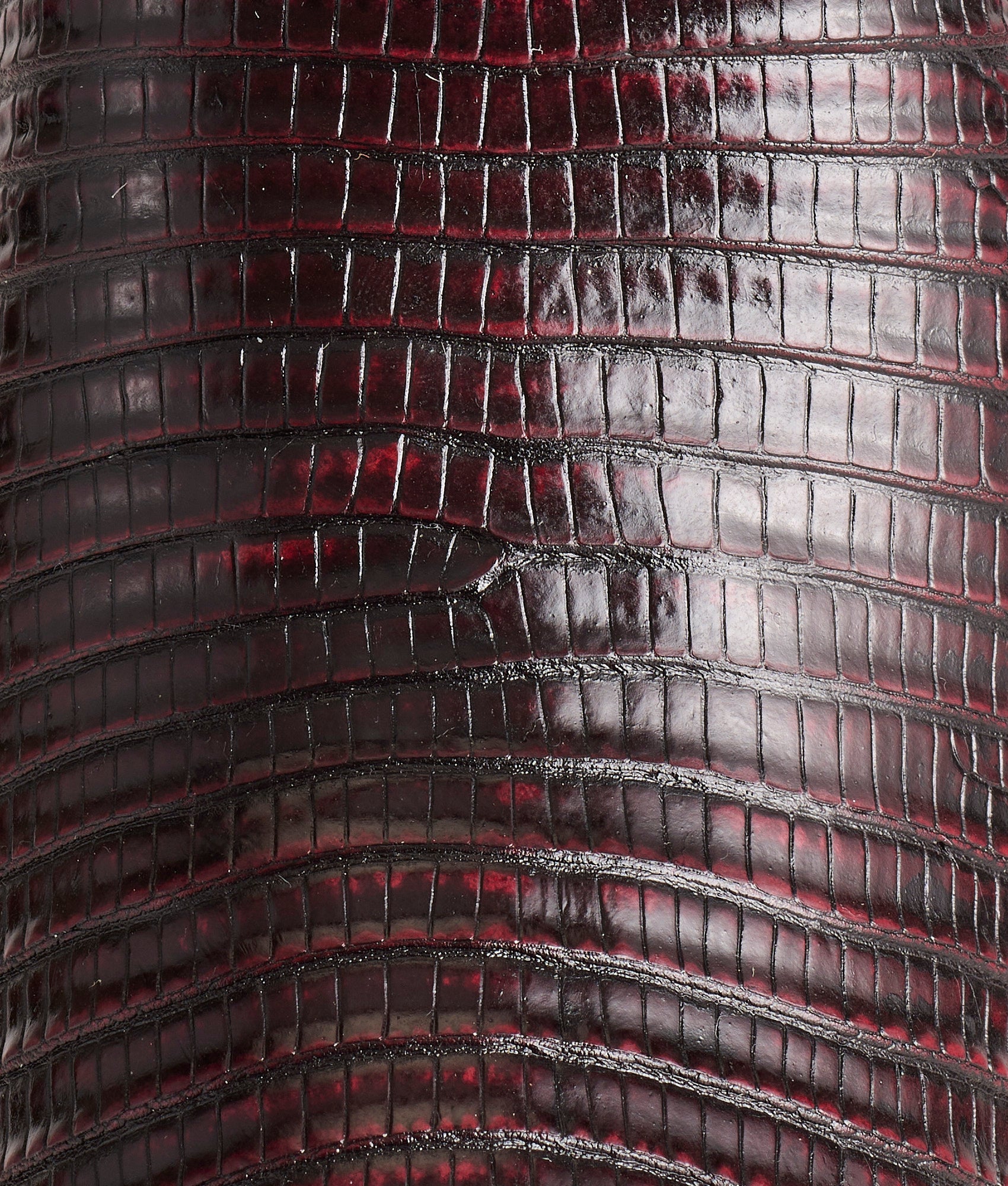 Priscilla Exotic :: Black Cherry - Image 10