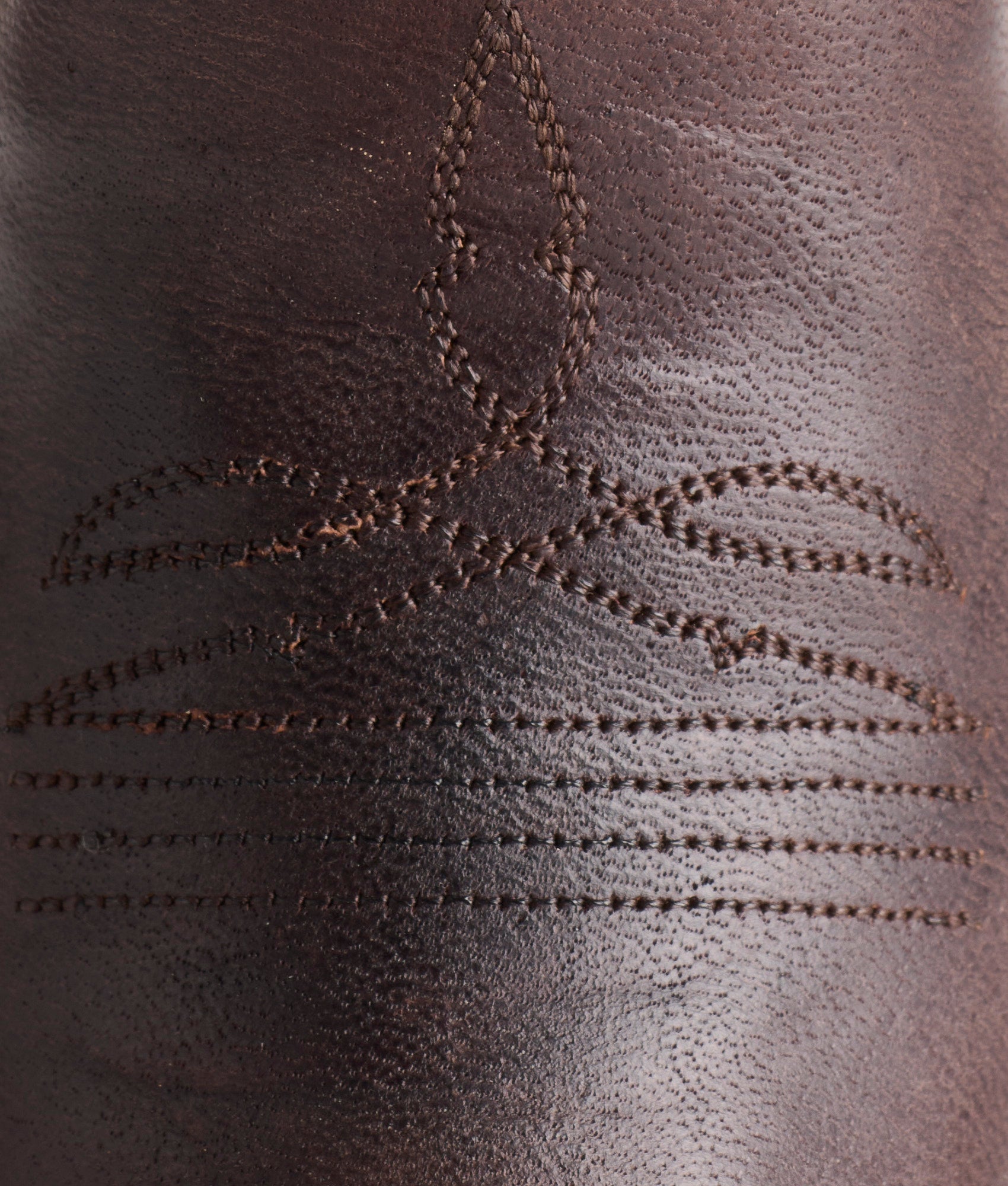 Gaby :: Chocolate + Goat - Image 8