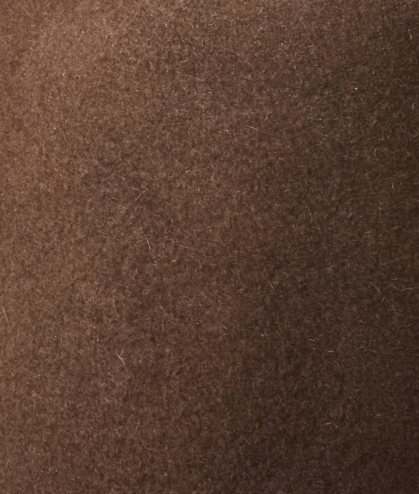 The Alamo :: Chocolate - Image 8