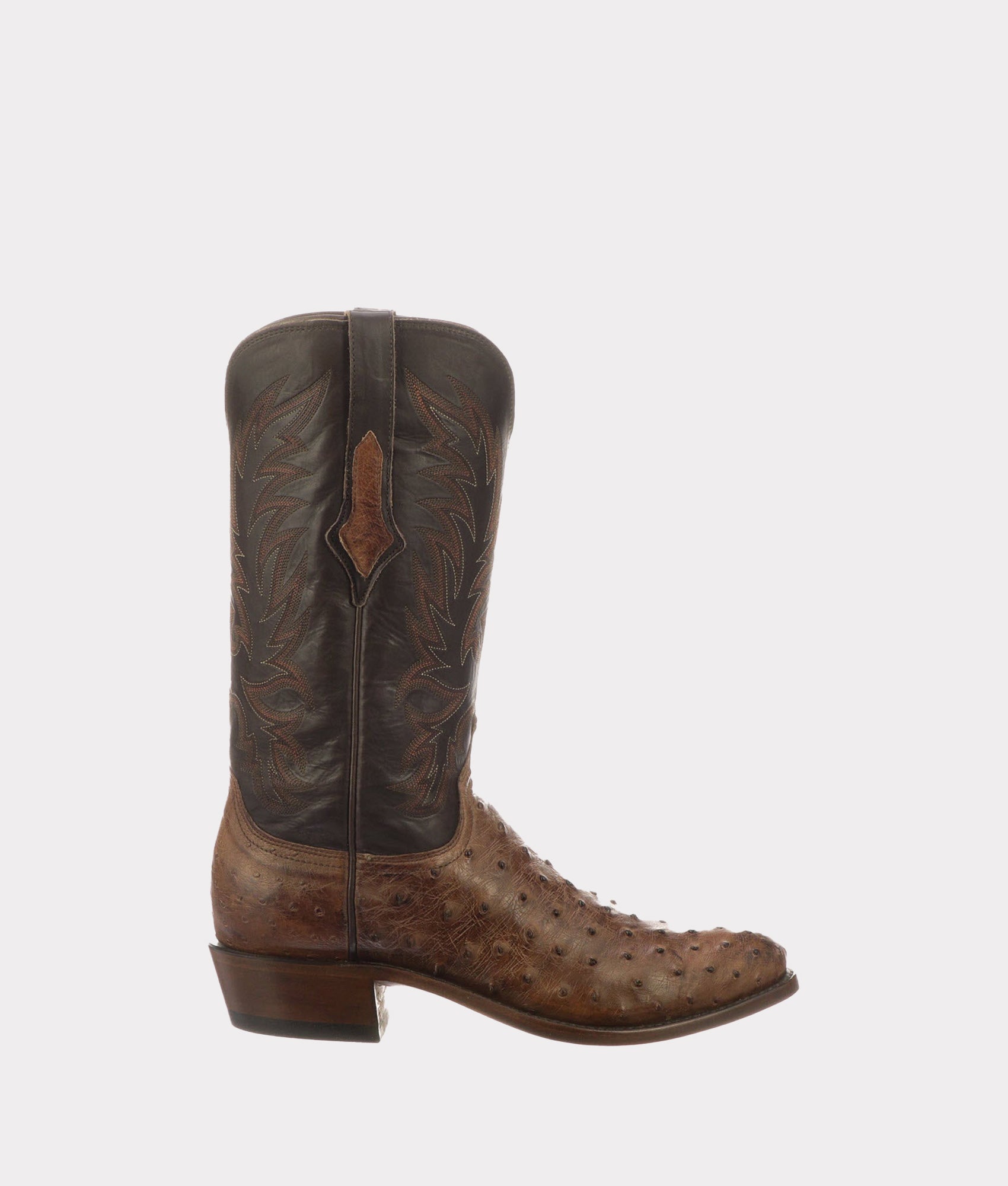 Elgin :: Chocolate - Image 9