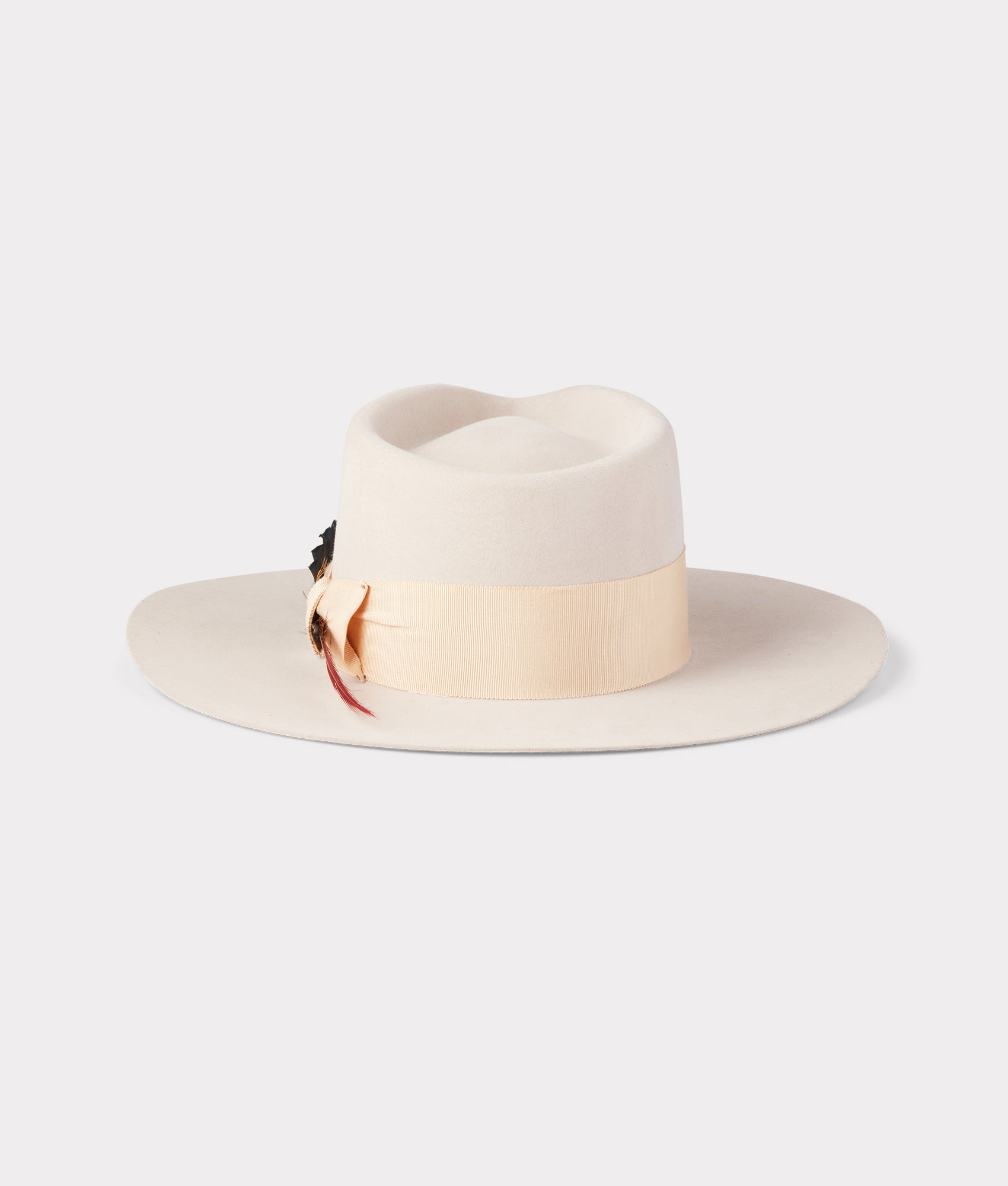 The Capitol :: Silverbelly - Image 2