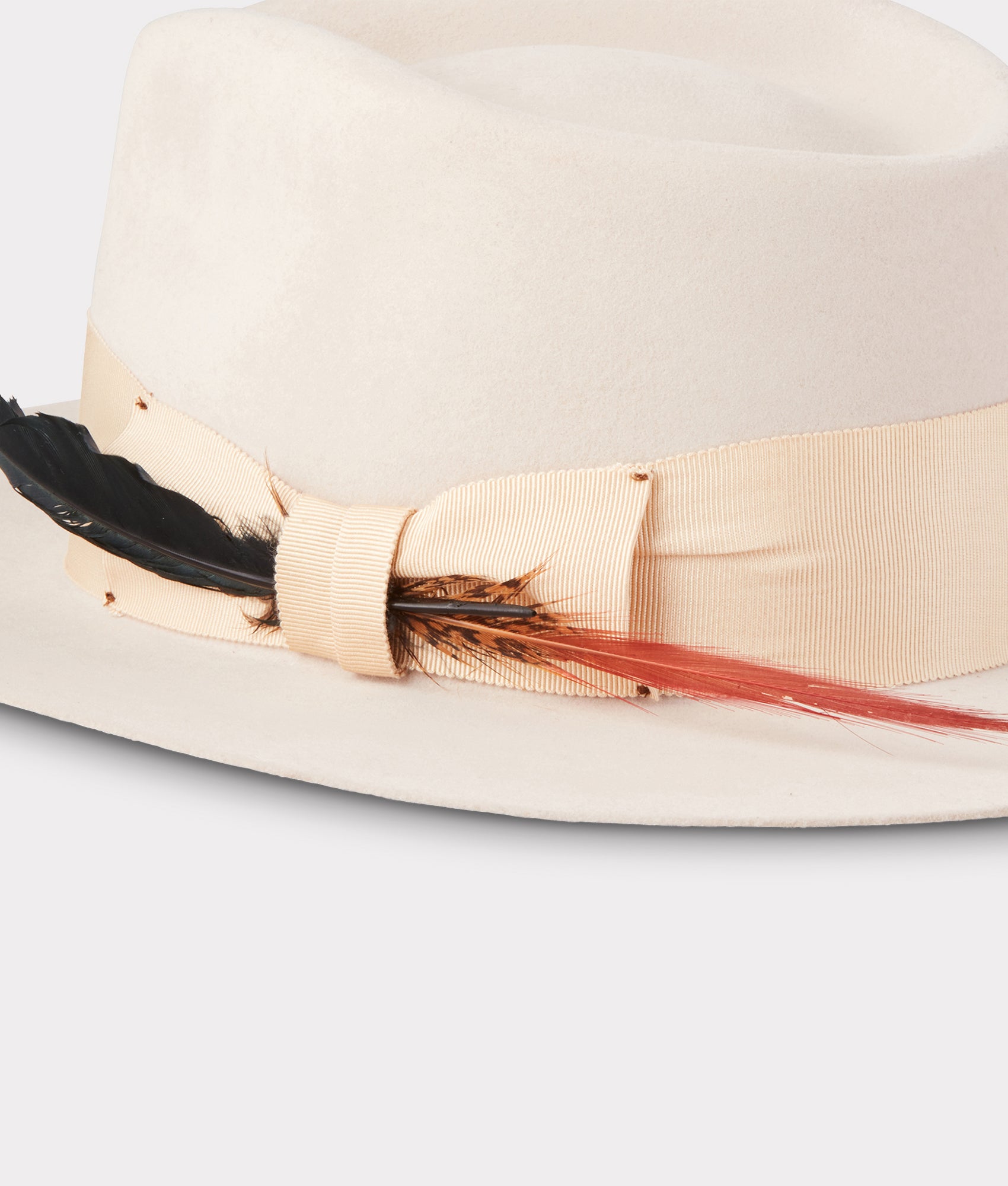 The Capitol :: Silverbelly - Image 7