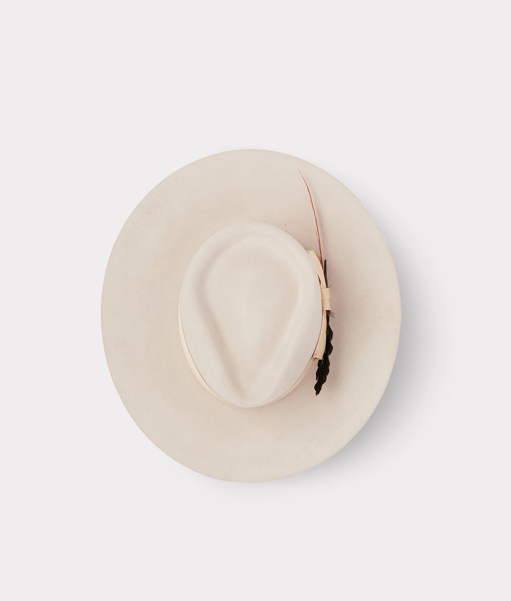 The Capitol :: Silverbelly - Image 4