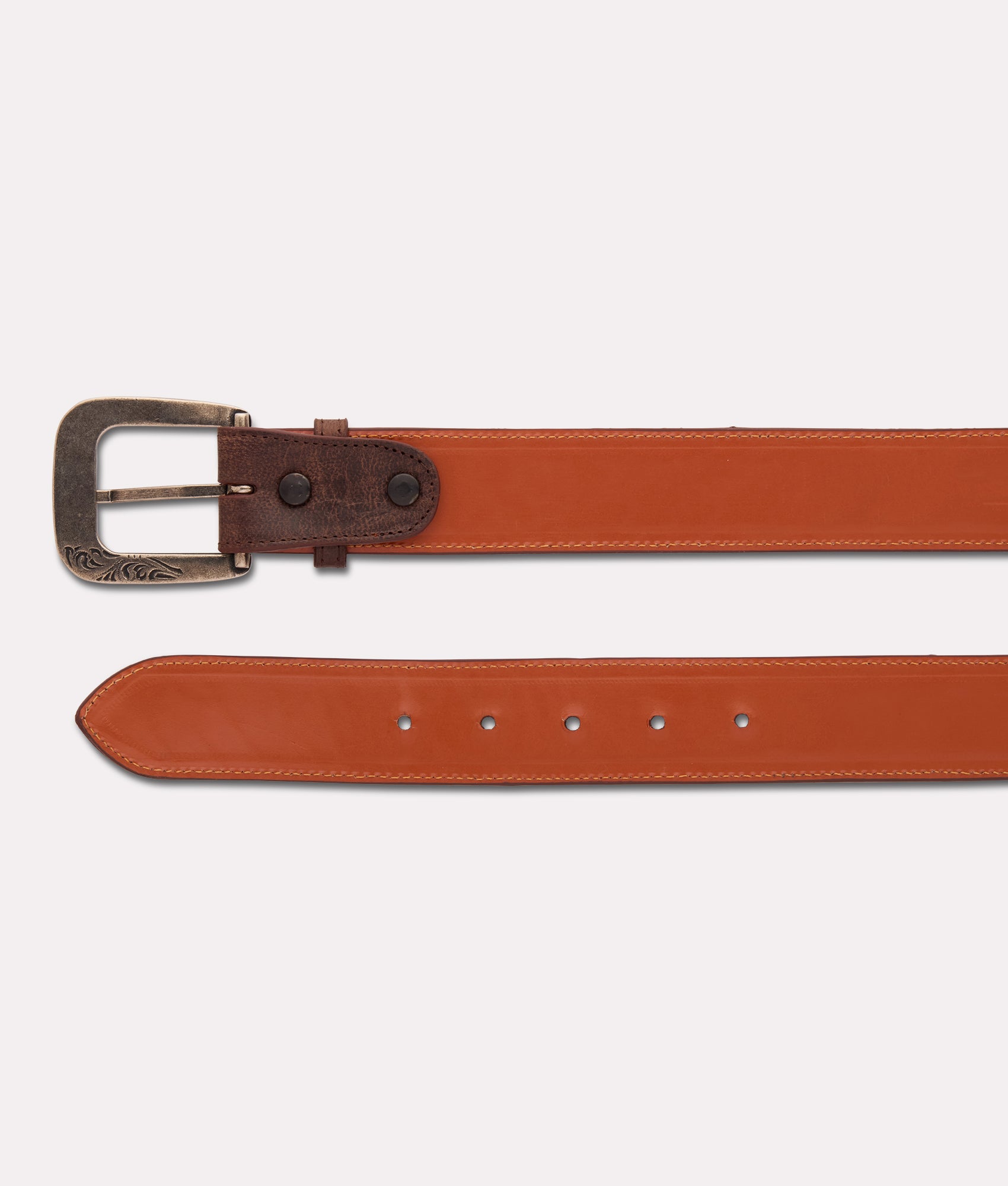 Smooth Goat :: Chocolate - Image 3