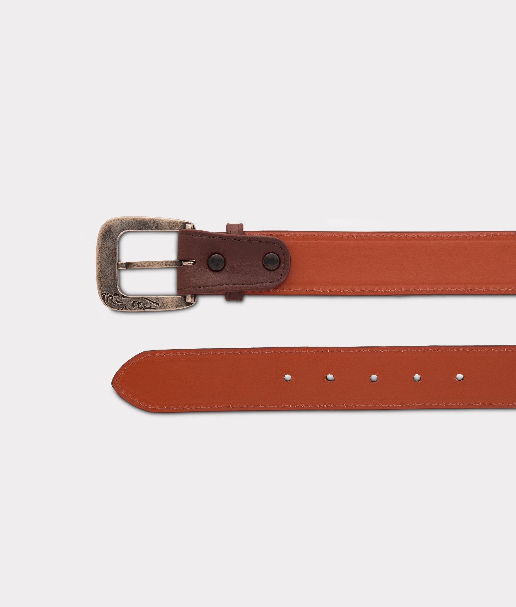 Smooth Baby Buffalo :: Whiskey - Image 5