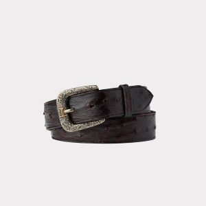 Full Quill Ostrich :: Black Cherry