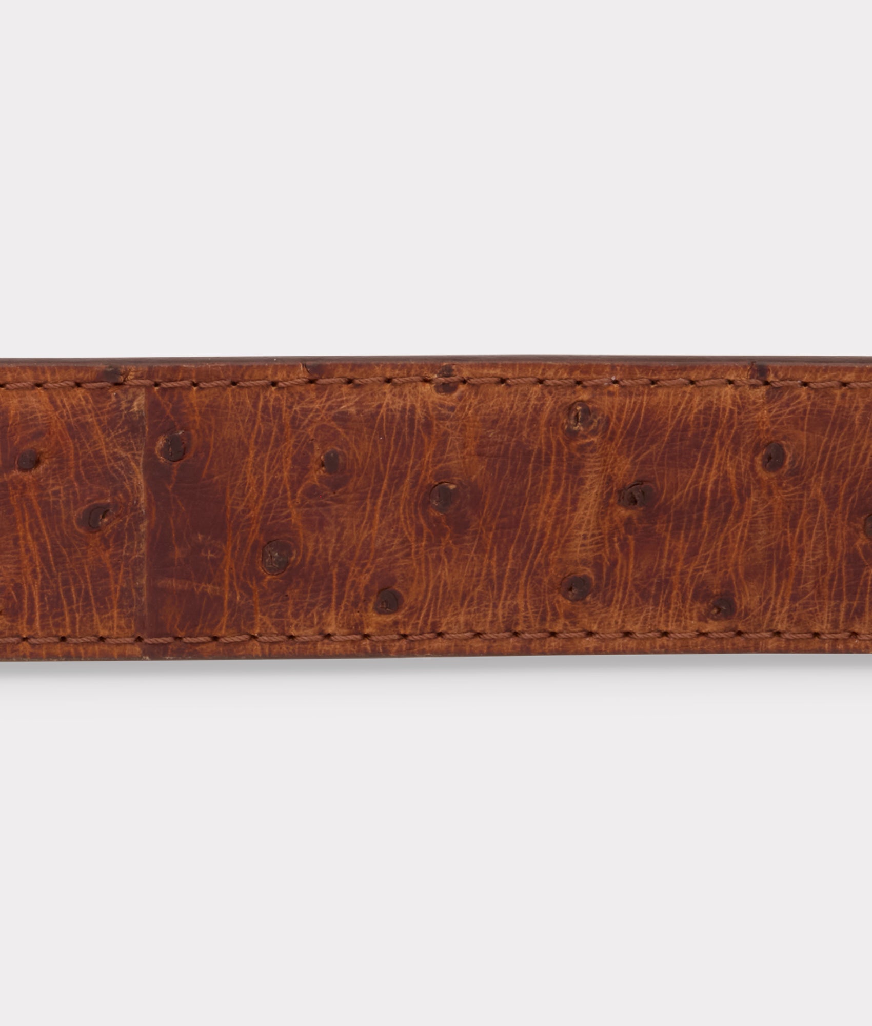 Full Quill Ostrich :: Sienna - Image 6