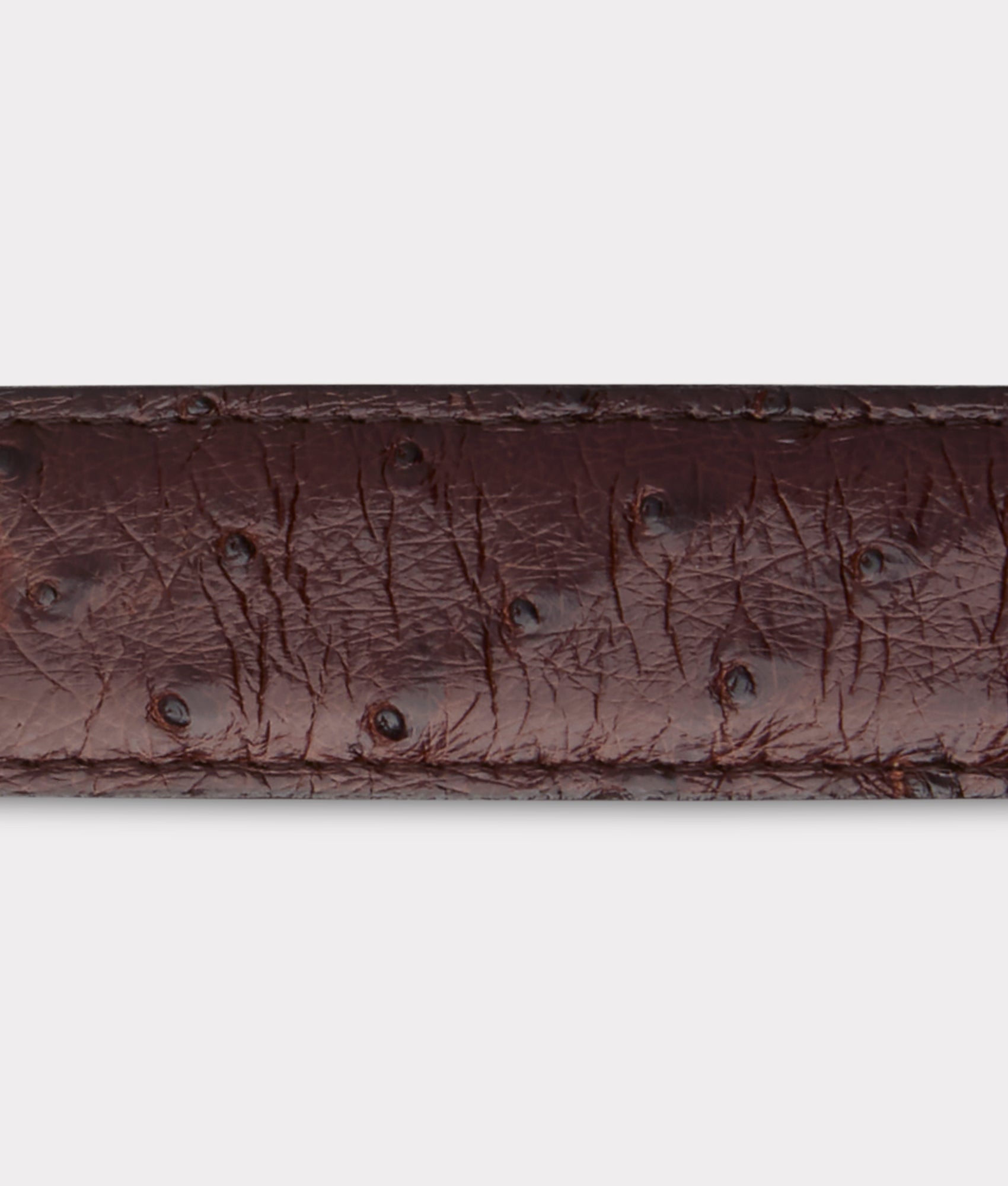 Full Quill Ostrich Tapered :: Sienna - Image 9