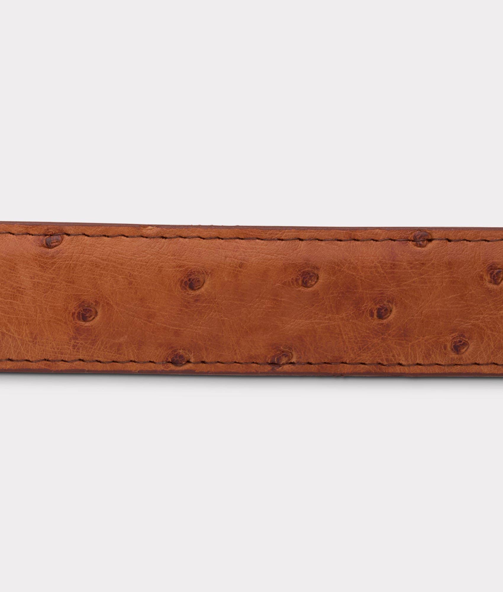 Full Quill Ostrich Tapered :: Barnwood - Image 9