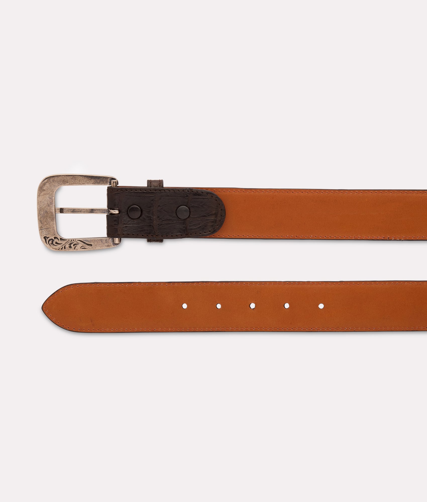 Ultra Belly Caiman :: Chocolate - Image 4