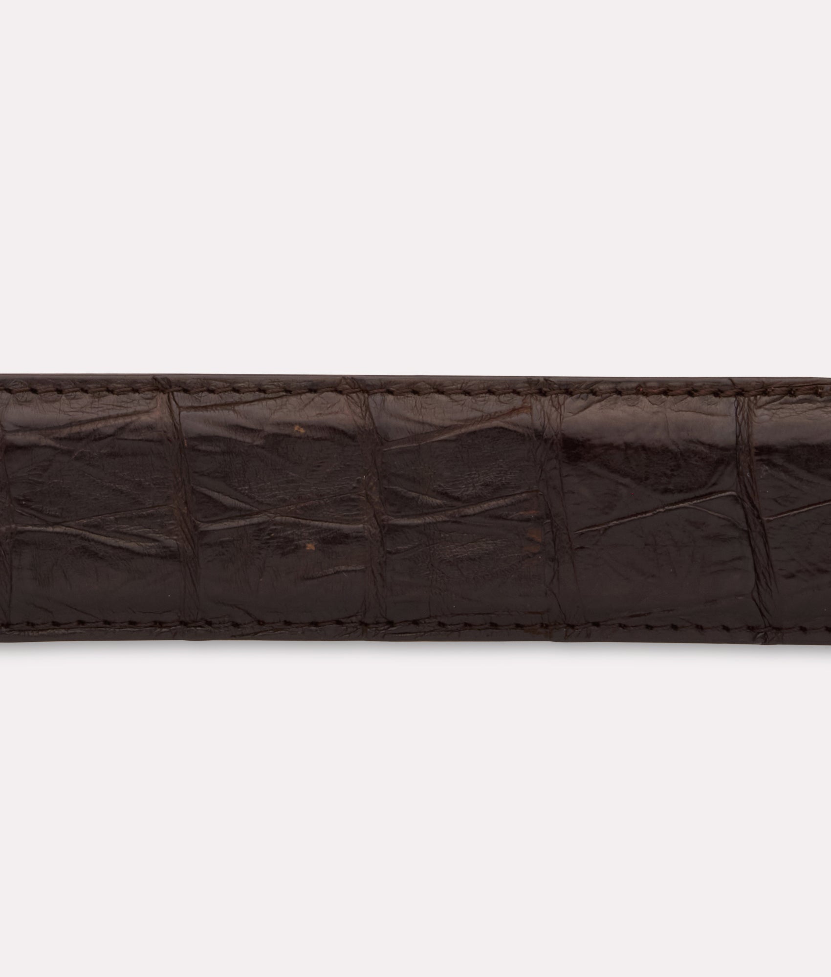 Ultra Belly Caiman :: Chocolate - Image 5