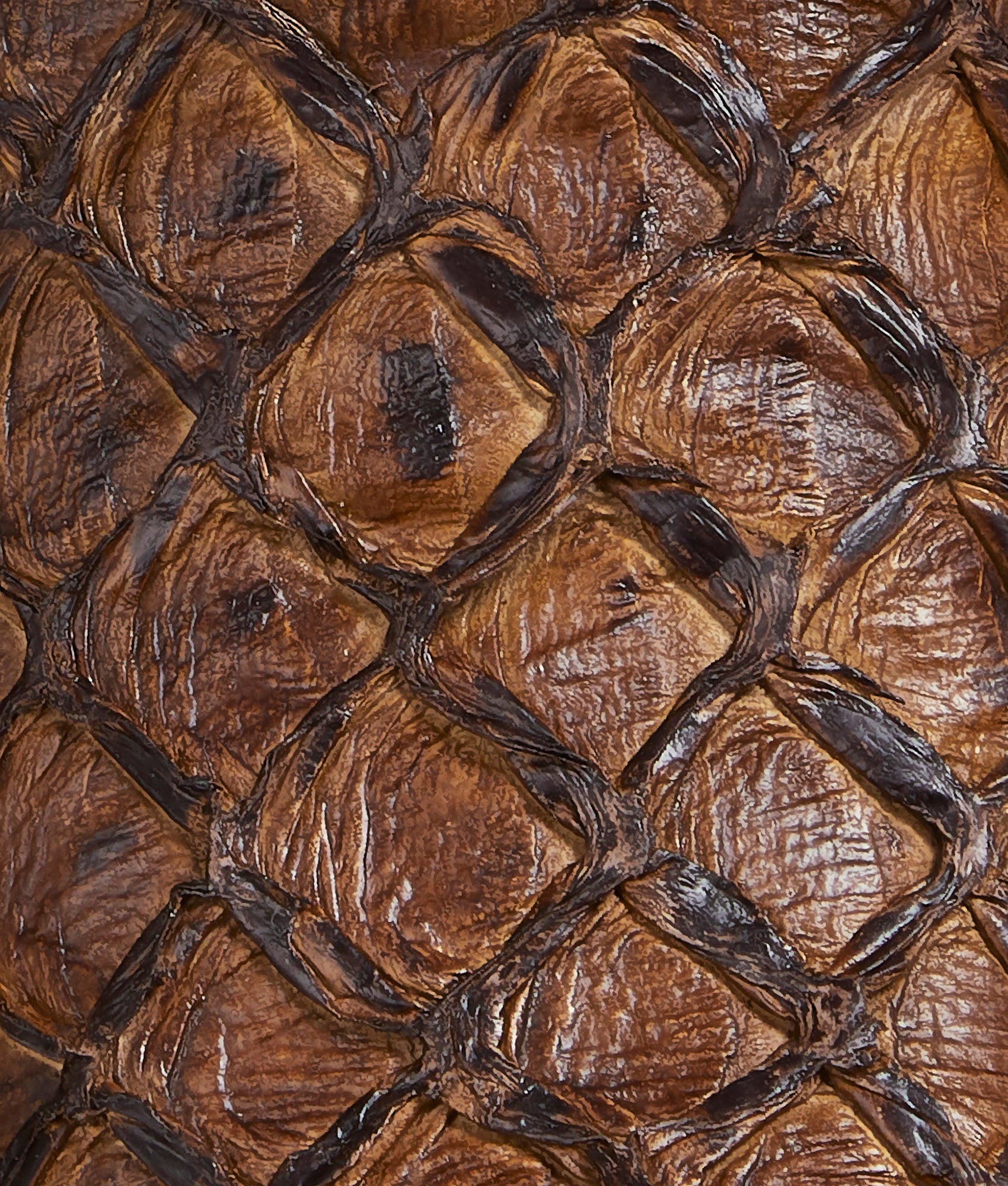 Narcisso :: Cafe Brown - Image 8